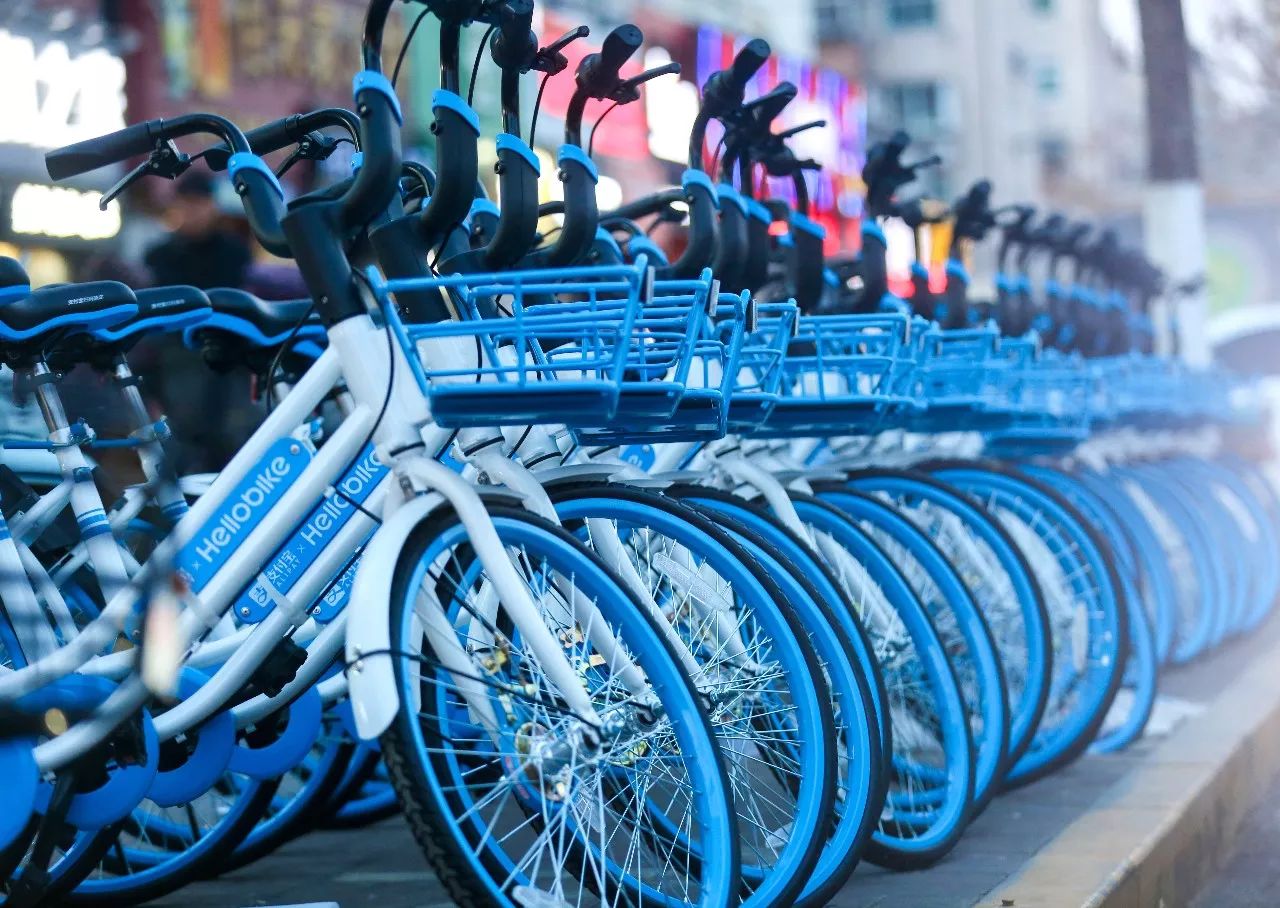 联发科芯片已抢占共享单车市场的70%,图为哈罗单车.